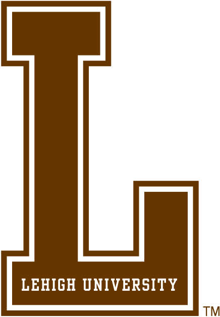 Lehigh Mountain Hawks 0-Pres Alternate Logo v2 diy iron on heat transfer